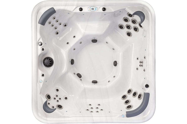 Alpina platinum X hot tub